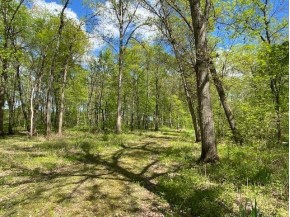 APPROX 146.5 AC County Road C