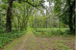 APPROX 146.5 AC County Road C