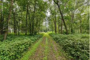 APPROX 146.5 AC County Road C