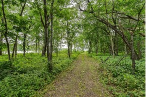 APPROX 146.5 AC County Road C