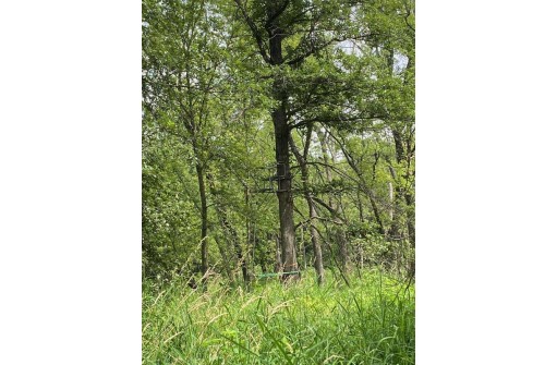 APPROX 146.5 AC County Road C, Spring Green, WI 53588