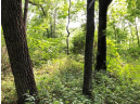 115+/- ACRES Hidden Springs Ln, Muscoda, WI 53573