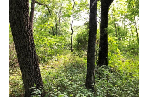 115+/- ACRES Hidden Springs Ln, Muscoda, WI 53573