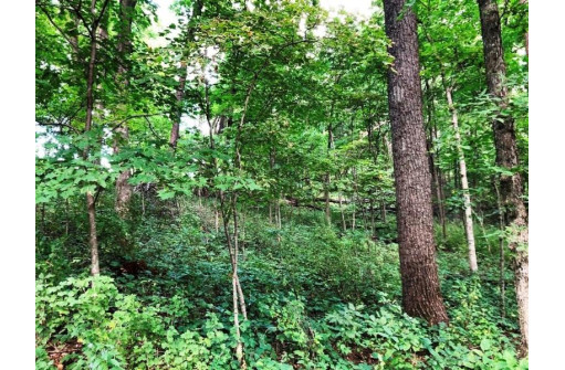 115+/- ACRES Hidden Springs Ln, Muscoda, WI 53573