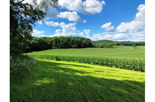 115+/- ACRES Hidden Springs Ln, Muscoda, WI 53573