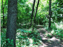 115+/- ACRES Hidden Springs Ln, Muscoda, WI 53573