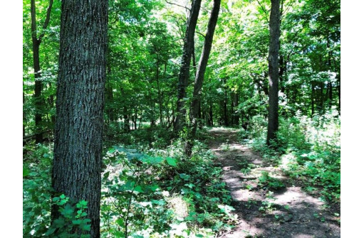 115+/- ACRES Hidden Springs Ln, Muscoda, WI 53573