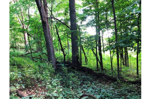 115+/- ACRES Hidden Springs Ln, Muscoda, WI 53573