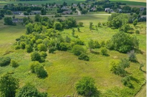 4.28 ACRES Pine Ridge Ct