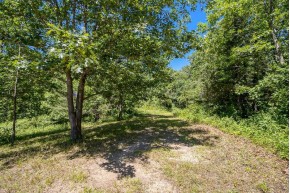 LOT 3 Crane Hollow Ct