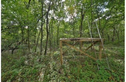 30 AC Wilson Hill Rd, Mount Hope, WI 53816