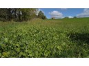 30 AC Wilson Hill Rd, Mount Hope, WI 53816