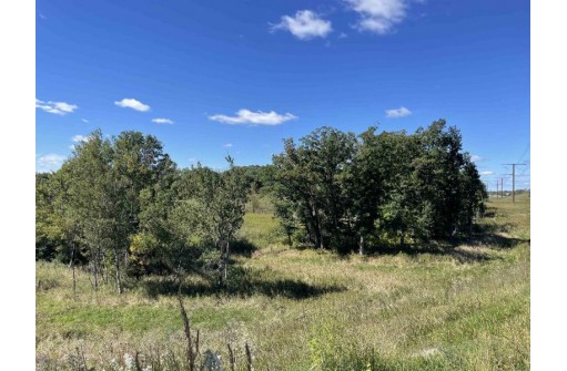 14.35 ACRES Hwy 80, New Lisbon, WI 53950