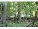 6.51 AC W Dutch Hollow Rd, La Valle, WI 53941