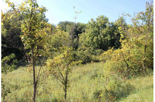 6.51 AC W Dutch Hollow Rd, La Valle, WI 53941