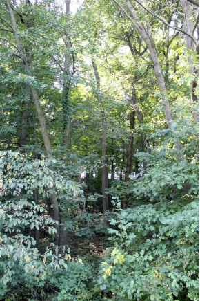 6.51 AC W Dutch Hollow Rd