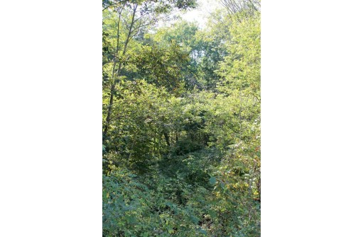 6.51 AC W Dutch Hollow Rd, La Valle, WI 53941