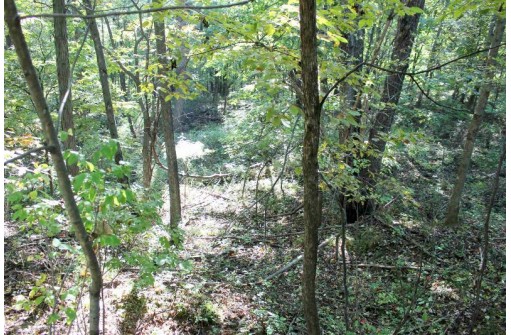 6.51 AC W Dutch Hollow Rd, La Valle, WI 53941