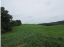 90.4 AC Lagoon Rd, Cashton, WI 54619