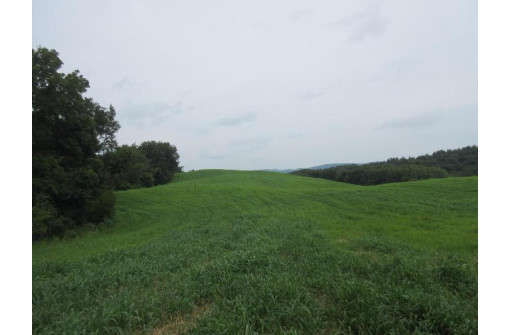 90.4 AC Lagoon Rd, Cashton, WI 54619