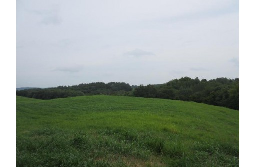 90.4 AC Lagoon Rd, Cashton, WI 54619