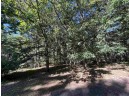 1949 Deerpath Rd, Arkdale, WI 54613