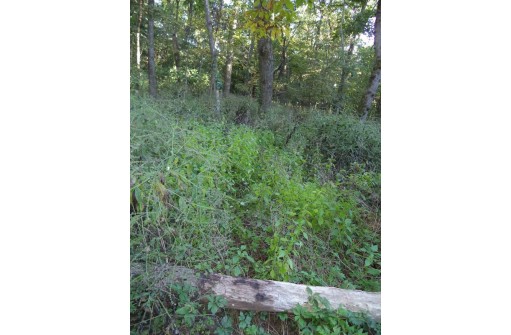 40 AC County Road N, South Wayne, WI 53587