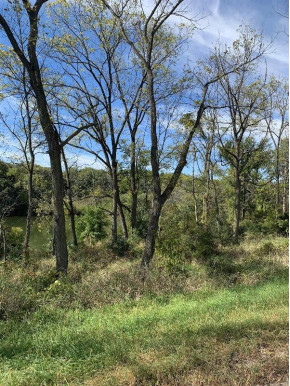 12.8 ACRES County Road N