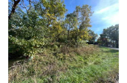 LOT 3 Lakeview Dr, Lodi, WI 53555