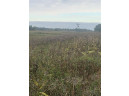 42.3 ACRES Pautsch Rd, Burnett, WI 53922