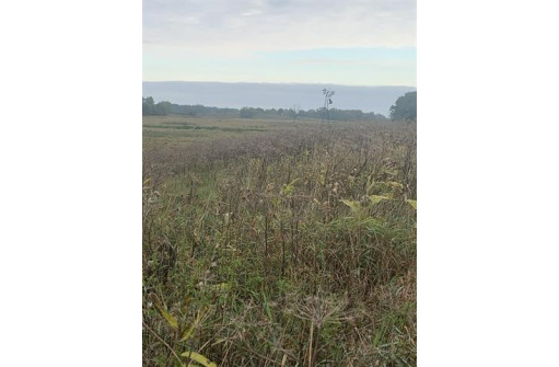 42.3 ACRES Pautsch Rd, Burnett, WI 53922