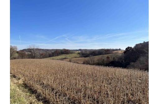 9 ACRES Santas Loop & County Road Ff, Hillsboro, WI 54634