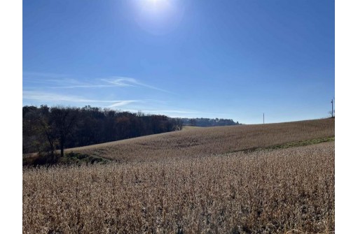 9 ACRES Santas Loop & County Road Ff, Hillsboro, WI 54634