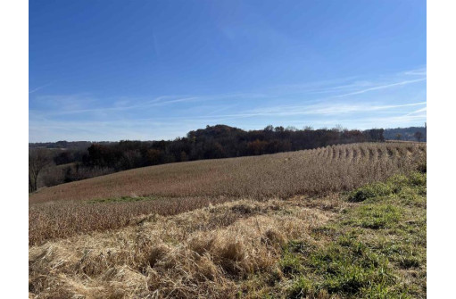 9 ACRES Santas Loop & County Road Ff, Hillsboro, WI 54634