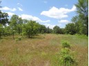 9+ ACRES Hwy 21, Coloma, WI 54930