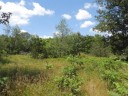 9+ ACRES Hwy 21, Coloma, WI 54930