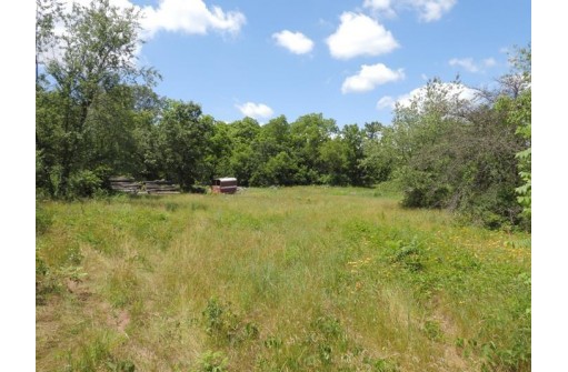 9+ ACRES Hwy 21, Coloma, WI 54930