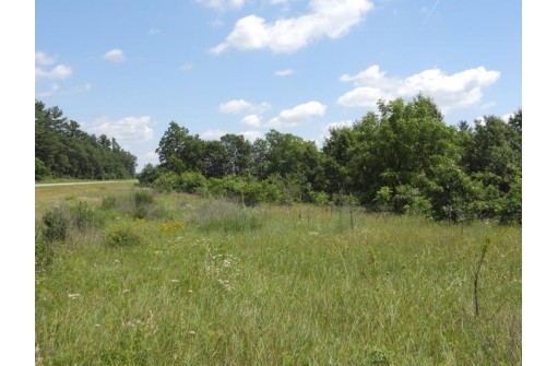 9+ ACRES Hwy 21, Coloma, WI 54930