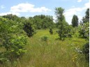 9+ ACRES Hwy 21, Coloma, WI 54930