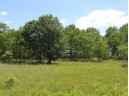 9+ ACRES Hwy 21, Coloma, WI 54930