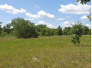 9+ ACRES Hwy 21, Coloma, WI 54930