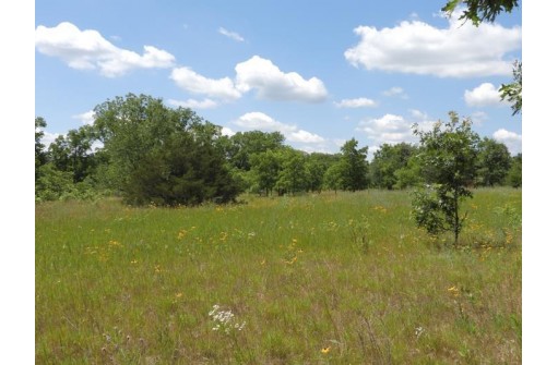 9+ ACRES Hwy 21, Coloma, WI 54930