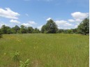 9+ ACRES Hwy 21, Coloma, WI 54930