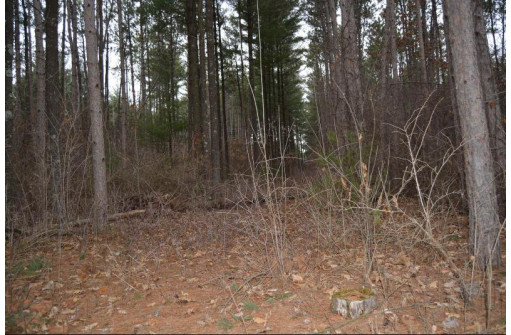 LOT 44 Phylane Rd, Lone Rock, WI 53556