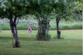 103 +/- AC County Road D