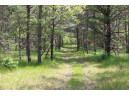 LOT 2 15th Ave, Arkdale, WI 54613