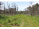 LOT 2 15th Ave, Arkdale, WI 54613