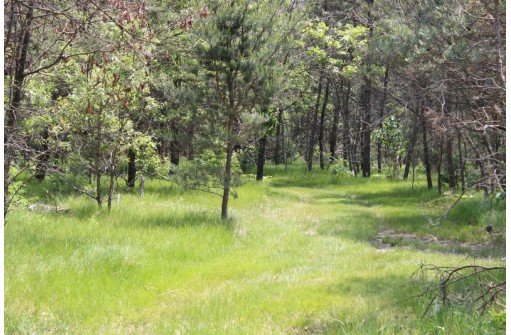 LOT 2 15th Ave, Arkdale, WI 54613