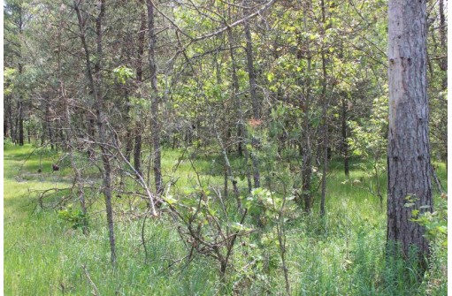 LOT 2 15th Ave, Arkdale, WI 54613