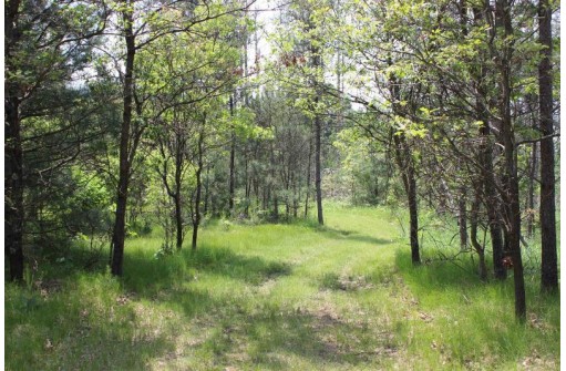 LOT 2 15th Ave, Arkdale, WI 54613